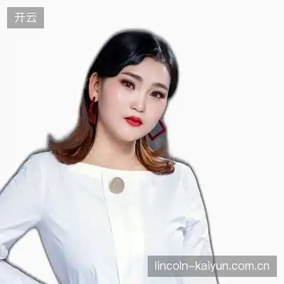 丁磊致